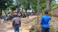 IMG-20250830-WA0036